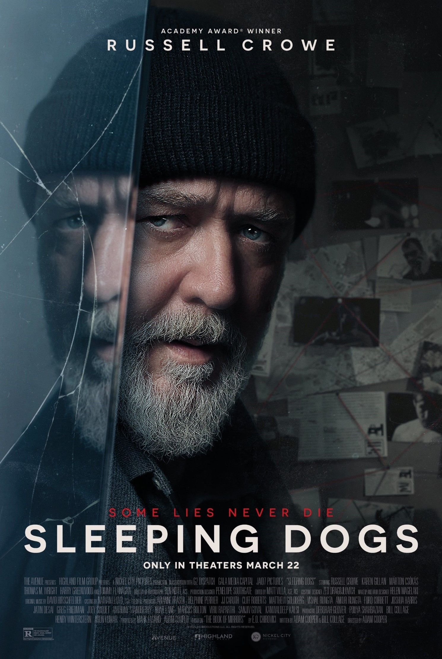 Plakat filmu Sleeping Dogs 2024