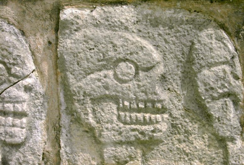 Szczegół Z Kamiennego Tzompantli w Chichén Itzá