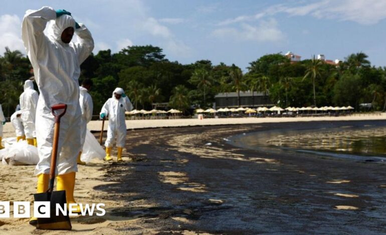 Singapur walczy o oczyszczenie plaż pokrytych plamami ropy