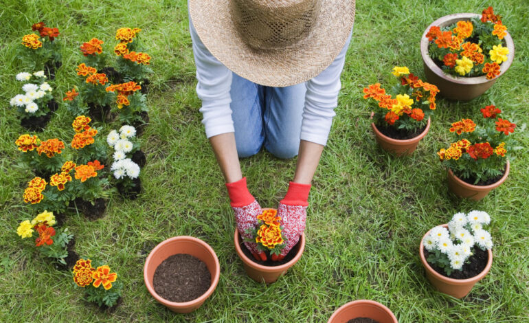 Ogrodnictwo przynosi ogromne korzyści dla zdrowia psychicznego i fizycznego.  Oto dlaczego należy wyrywać chwasty i sadzić nasiona.
