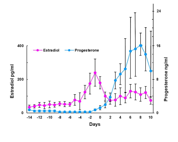 Wykres liniowy przedstawiający wzrost poziomu estrogenu osiągający szczyt pierwszego dnia cyklu menstruacyjnego przed spadkiem oraz poziom progesteronu osiągający szczyt ósmego dnia przed spadkiem