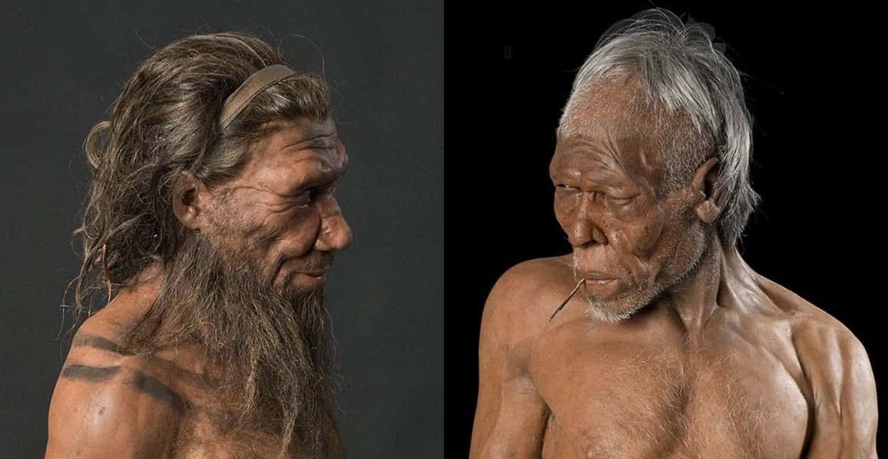 Rekonstrukcje neandertalczyka (po lewej) i wczesnego człowieka wykonane przez Muzeum Historii Naturalnej w Londynie.