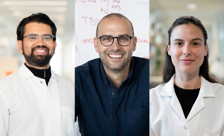 Naukowcy z UCSF zdobywają nagrody Pew za badania nad rakiem i neuronauką