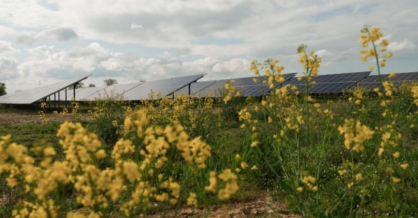 Equinor poszerza portfolio OZE w Polsce o nową elektrownię fotowoltaiczną