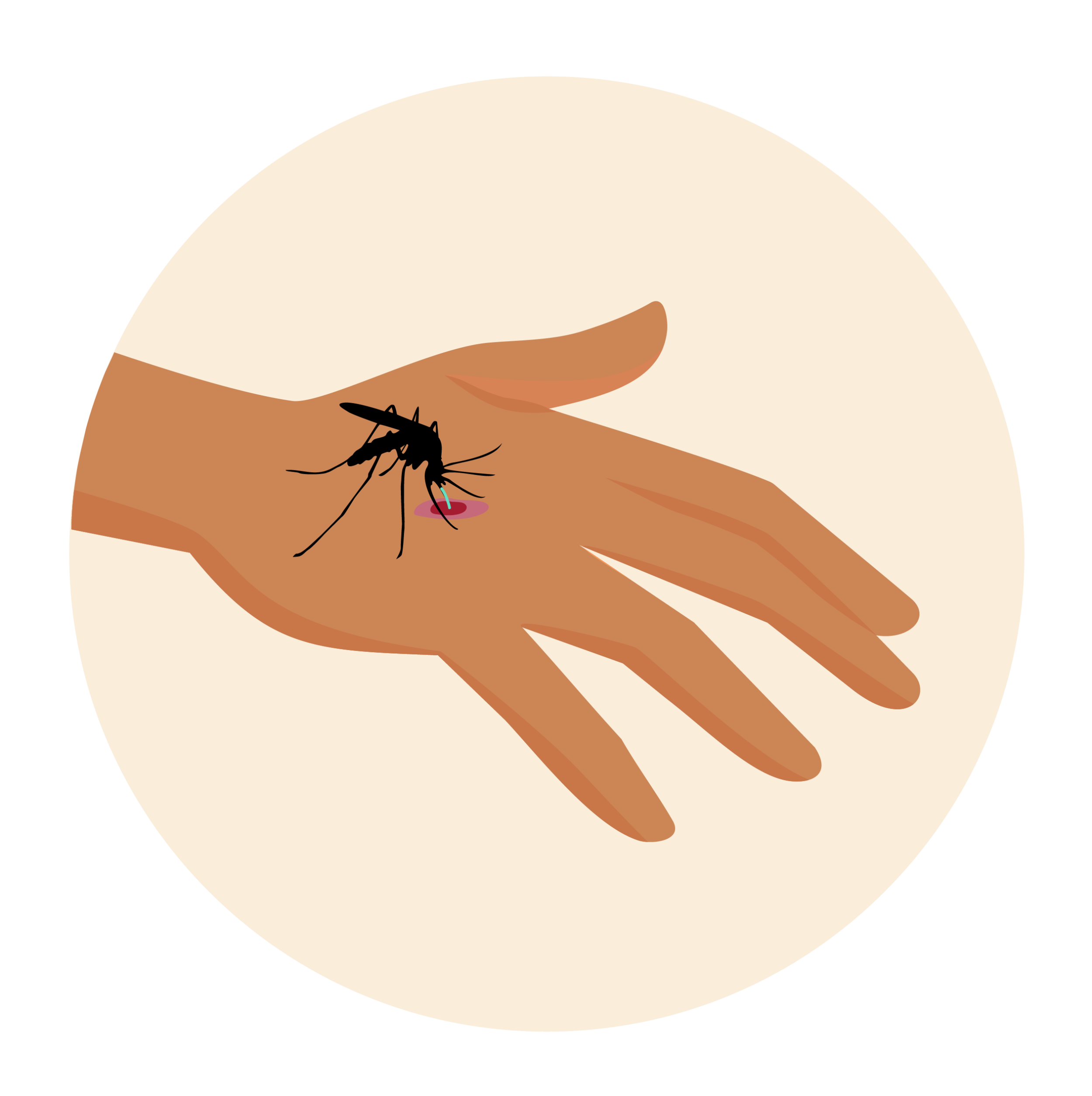 Zainfekowany komar gryzie rękę. 