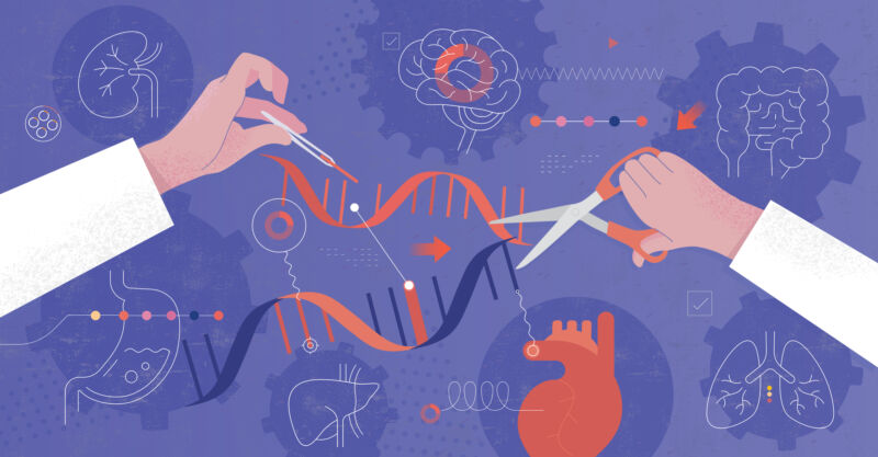 Abstrakcyjny rysunek przedstawiający parę ludzkich rąk za pomocą nożyczek do przecięcia nici DNA, na tle kilku narządów ludzkich.