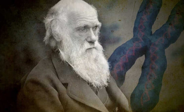 Punkt widzenia: „Pochodzenie człowieka” Darwina jest zarówno głęboko niepokojące, jak i bardziej aktualne niż kiedykolwiek