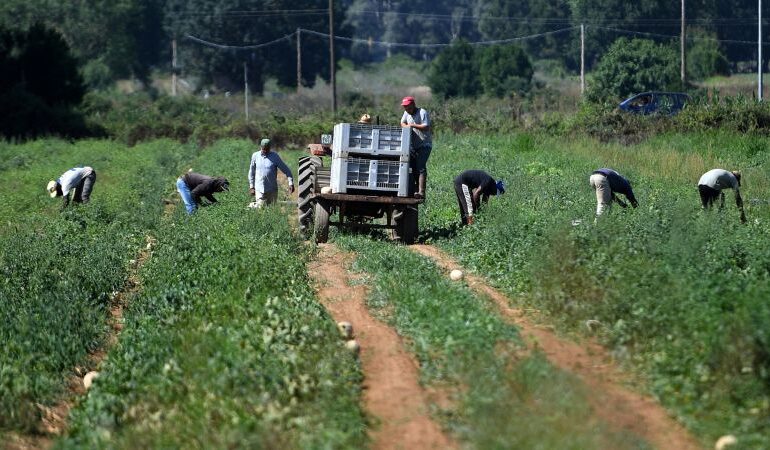 Śmierć indyjskiego robotnika rolnego we Włoszech wywołuje oburzenie
