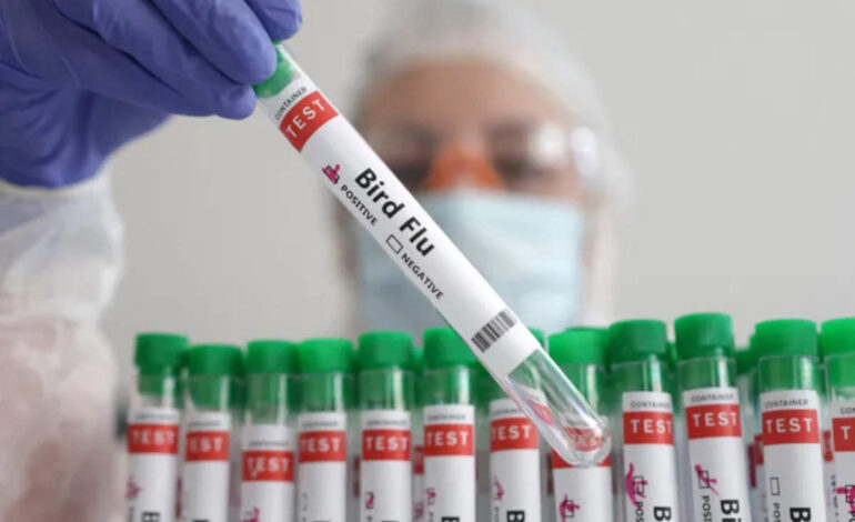 WHO czeka na dane po pierwszym śmiertelnym przypadku ptasiej grypy H5N2 u człowieka, Health News, ET HealthWorld