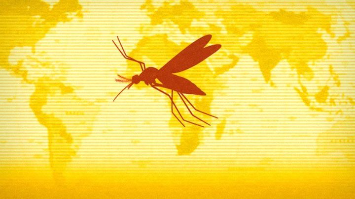 Epidemie chorób przenoszonych przez komary nie tylko w Jukatanie, ale w Europie!