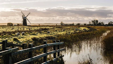 Tom Barrett Carey Davies opisuje Broads jako "Angielska wersja Everglades" (Źródło: Tom Barrett)