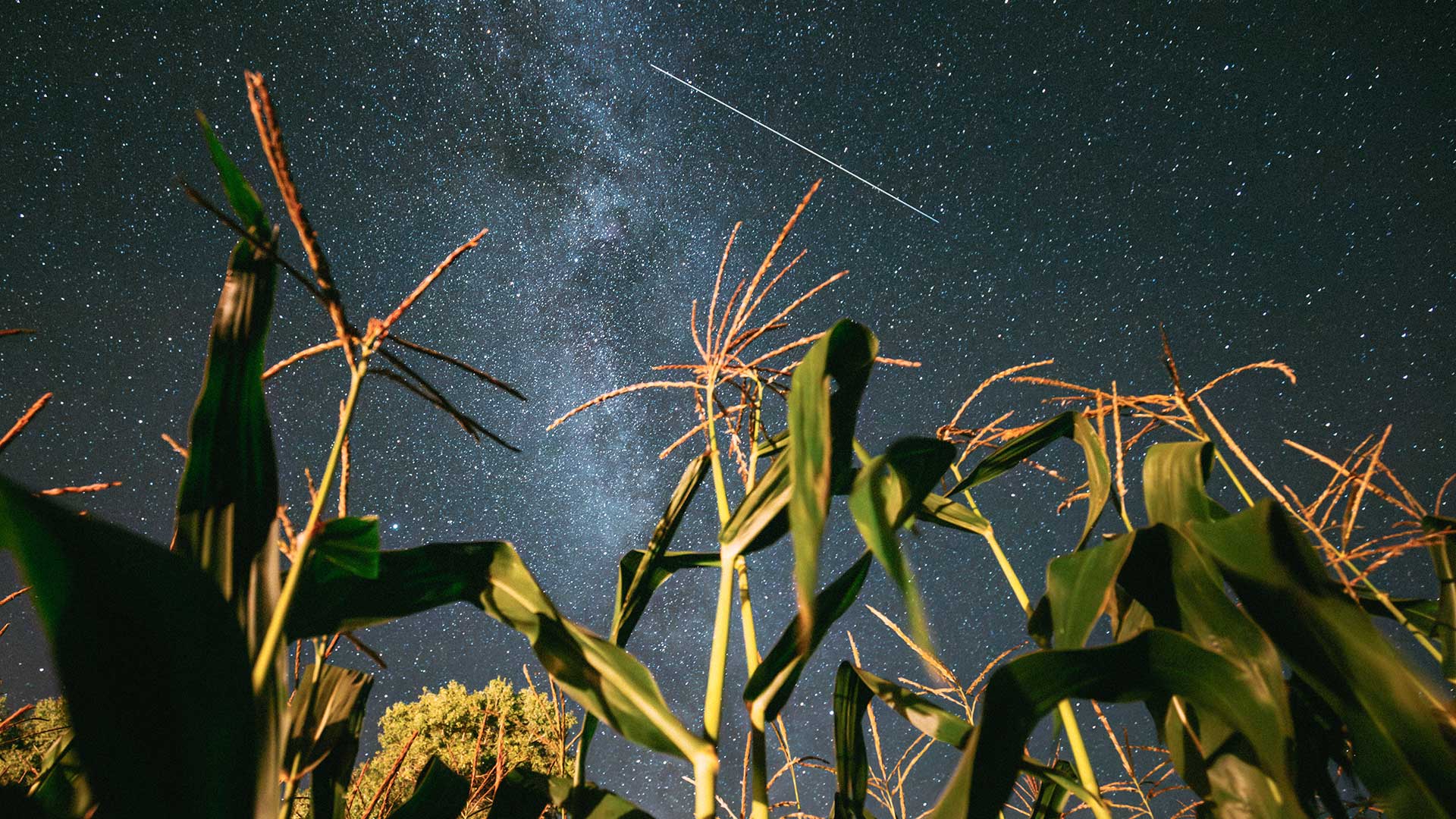 Deszcz meteorów Perseid