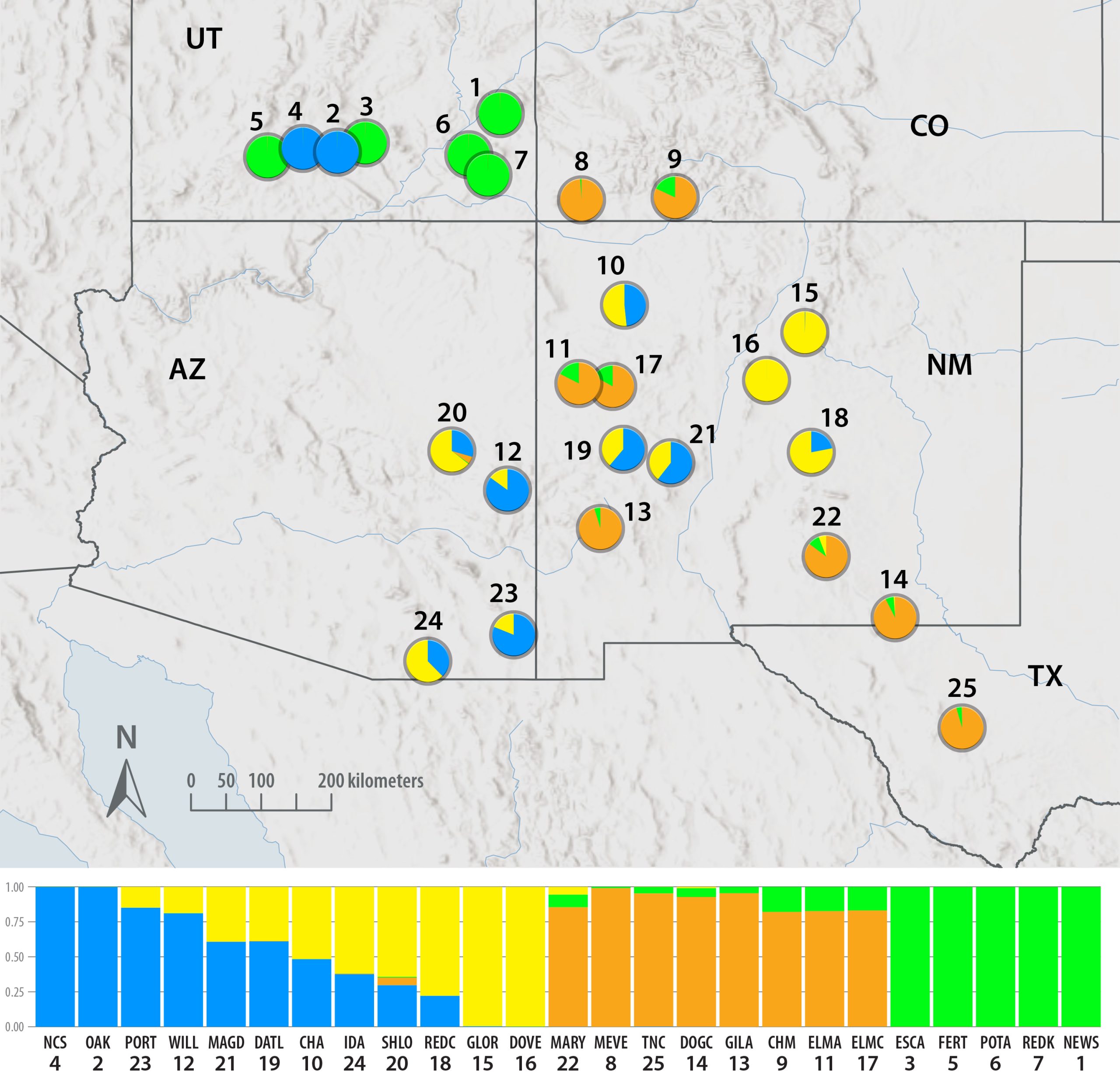 Mapa południowego zachodu z okręgami oznaczającymi każde miejsce pobrania próbek populacji. Okręgi mają różne kolory reprezentujące skład genetyczny.