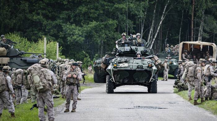 Dlaczego Polska i państwa bałtyckie wzmacniają swoje granice?