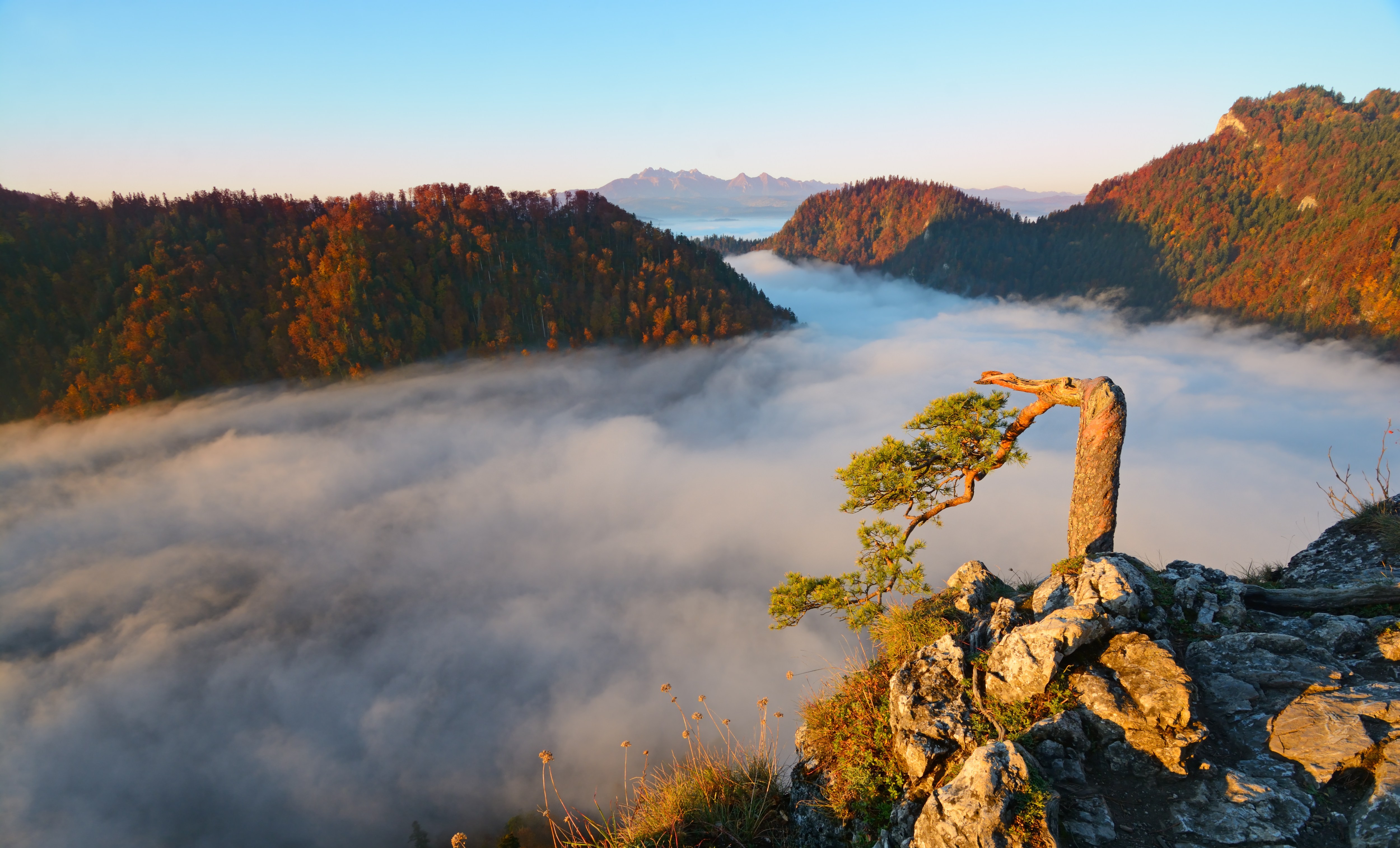 Przełom Dunajca, a w tle Tatry