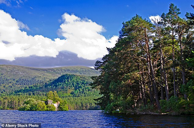 Loch an Eilein w Rothiemurchus w szkockim Parku Narodowym Cairngorms