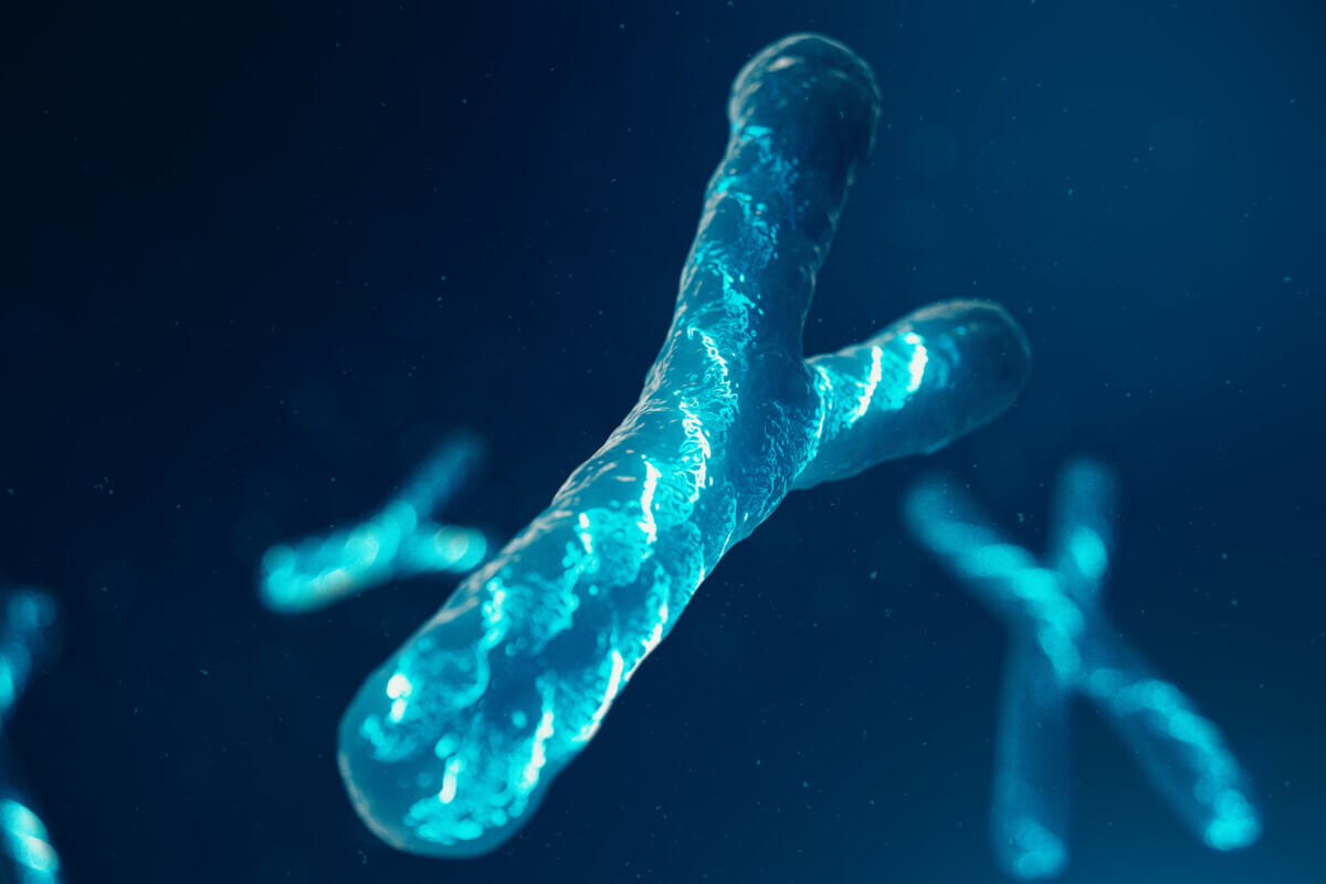 Chromosomy Y z DNA niosącym kod genetyczny. Koncepcja genetyki, koncepcja medycyny. Przyszłość, mutacje genetyczne. Zmiana kodu genetycznego na poziomie biologicznym. Ilustracja 3D