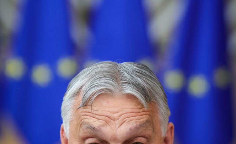 Węgry drwią z sojuszników, obejmując przewodnictwo w Radzie UE