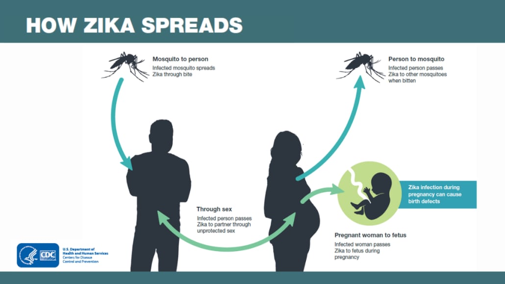 Oto jak rozprzestrzenia się wirus Zika (Źródło: CDC)