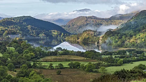 Alan Williams/Nature Picture Library Dolina Gwynant w Snowdonii (Źródło: Alan Williams/Nature Picture Library)