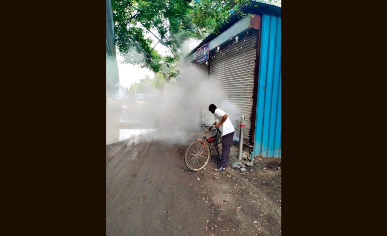 Przypadki Zika w Pune: Eksperci radzą zwiększyć nadzór i środki zapobiegawcze