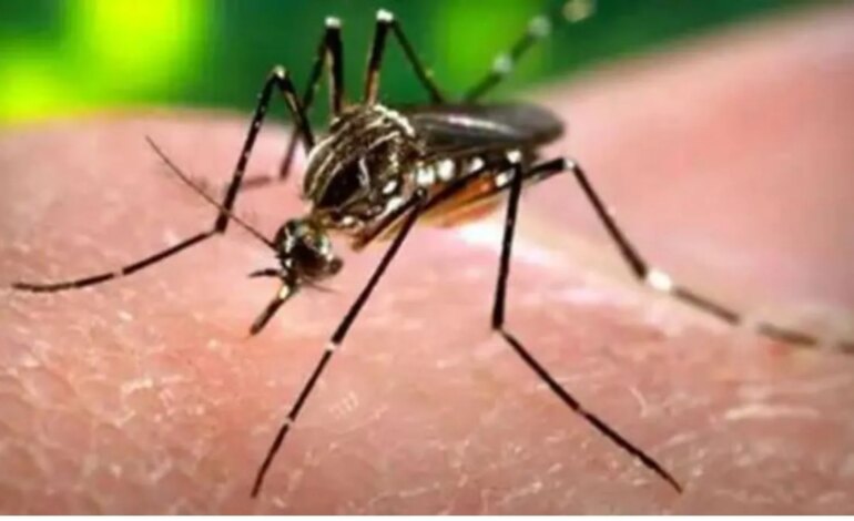 Liczba przypadków wirusa Zika w Indiach rośnie. Oto wszystko, co musisz wiedzieć