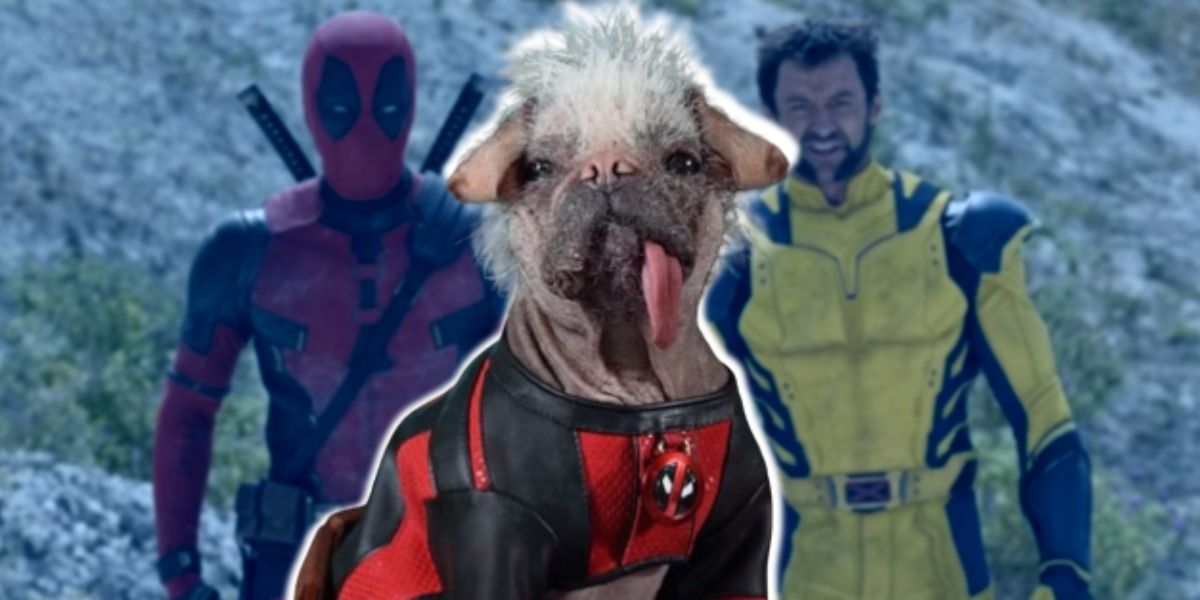 Podzielony obraz Dogpoola, Deadpoola i Wolverine'a w filmie Deadpool & Wolverine