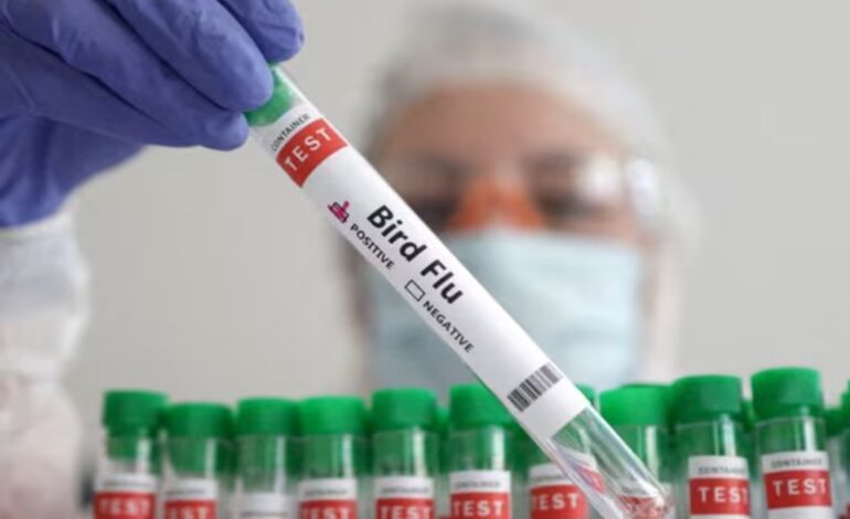 Naukowcy obawiają się, że pandemia ptasiej grypy „rozwija się w zwolnionym tempie”, ET HealthWorld