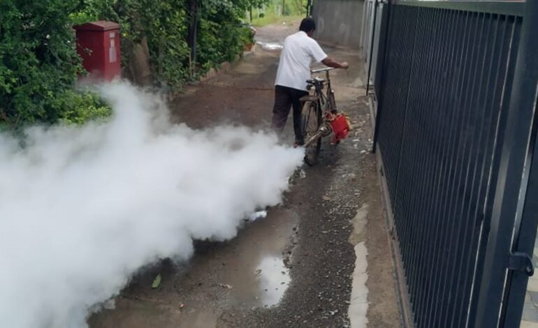 8 przypadków Zika w Maharasztrze, nie ma powodu do paniki: dyrektor NIV | Wiadomości z Pune