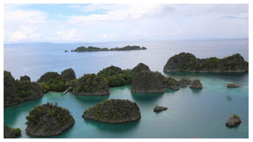 Raja Ampat ma cztery główne wyspy: Waigeo, Batanta, Salawati i Misool.  (Pixabay)