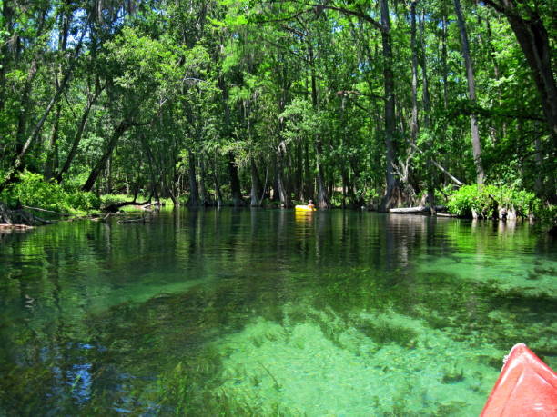 najlepsze miejsca do odwiedzenia na Florydzie Na zdjęciu: Spływ kajakowy rzeką Ichetucknee, Park Stanowy Ichetucknee Springs, Floryda.