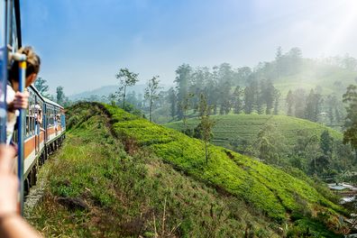 Młoda kobieta cieszy się podróżą pociągiem z Elli do Kandy wśród plantacji herbaty w górach Sri Lanki