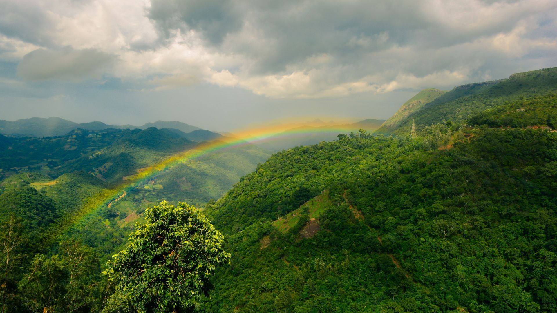 Dolina Araku 