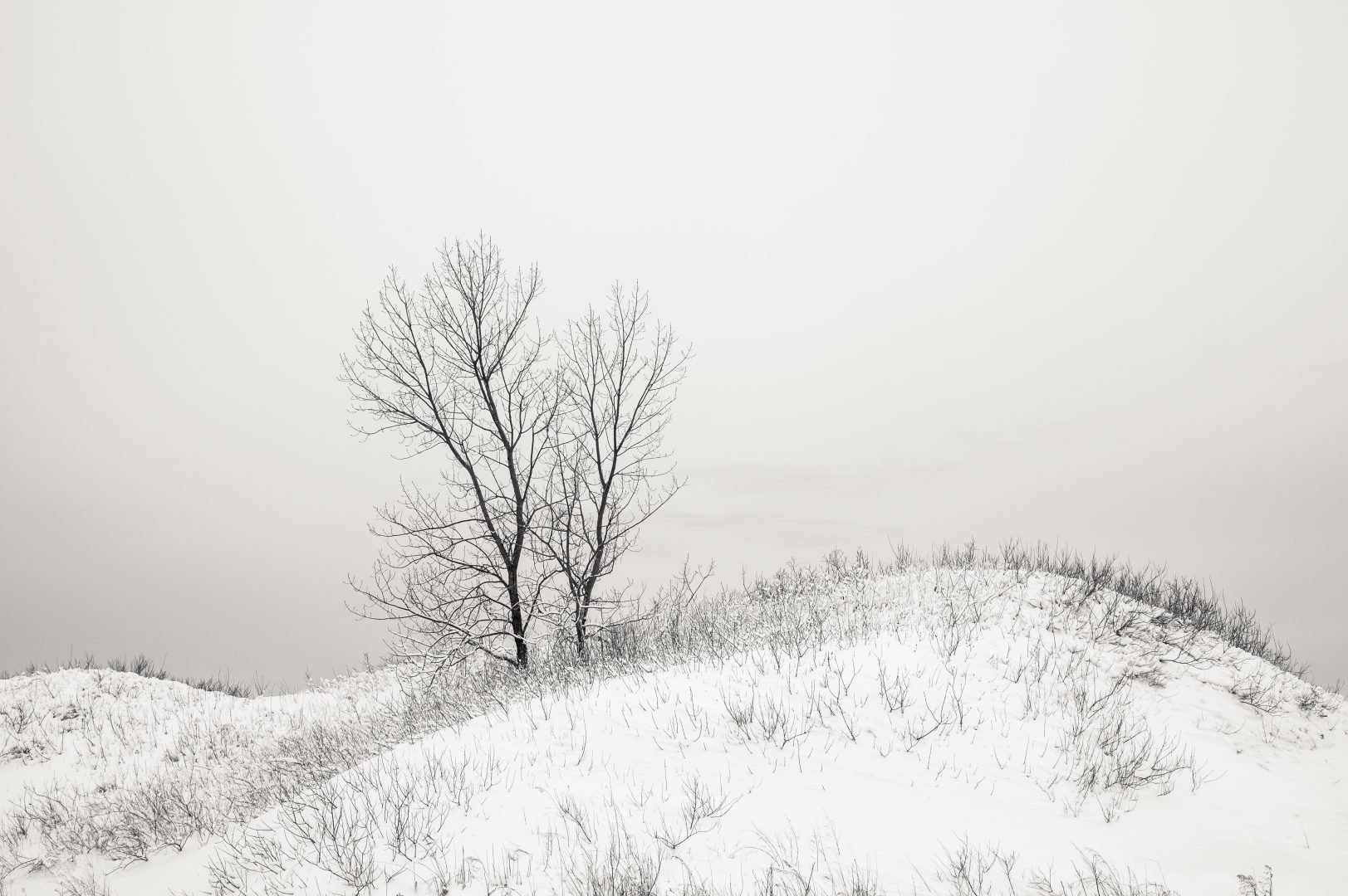 Ten fotograf tworzy oszałamiającą poezję wizualną w swoim lokalnym otoczeniu