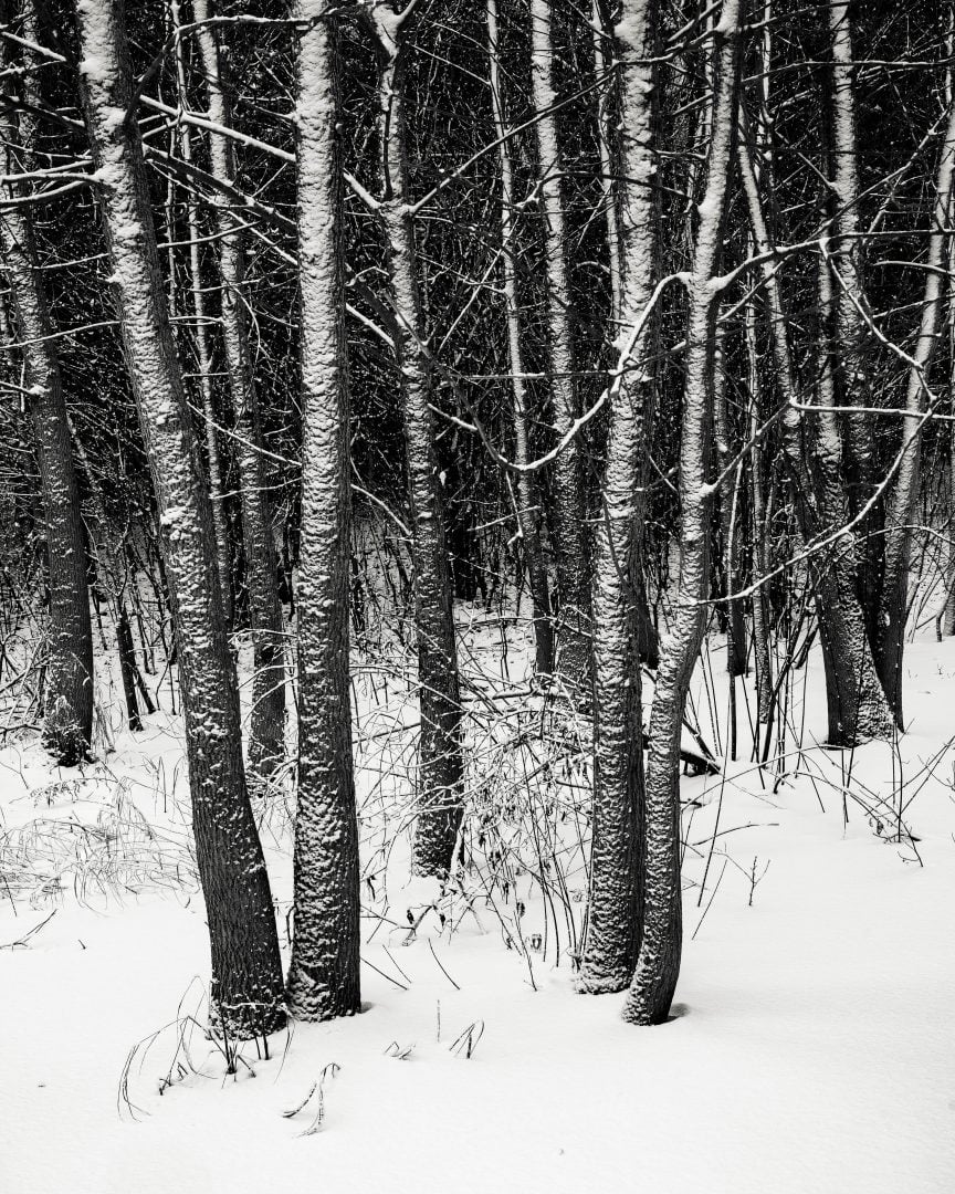 Ten fotograf tworzy oszałamiającą poezję wizualną w swoim lokalnym otoczeniu