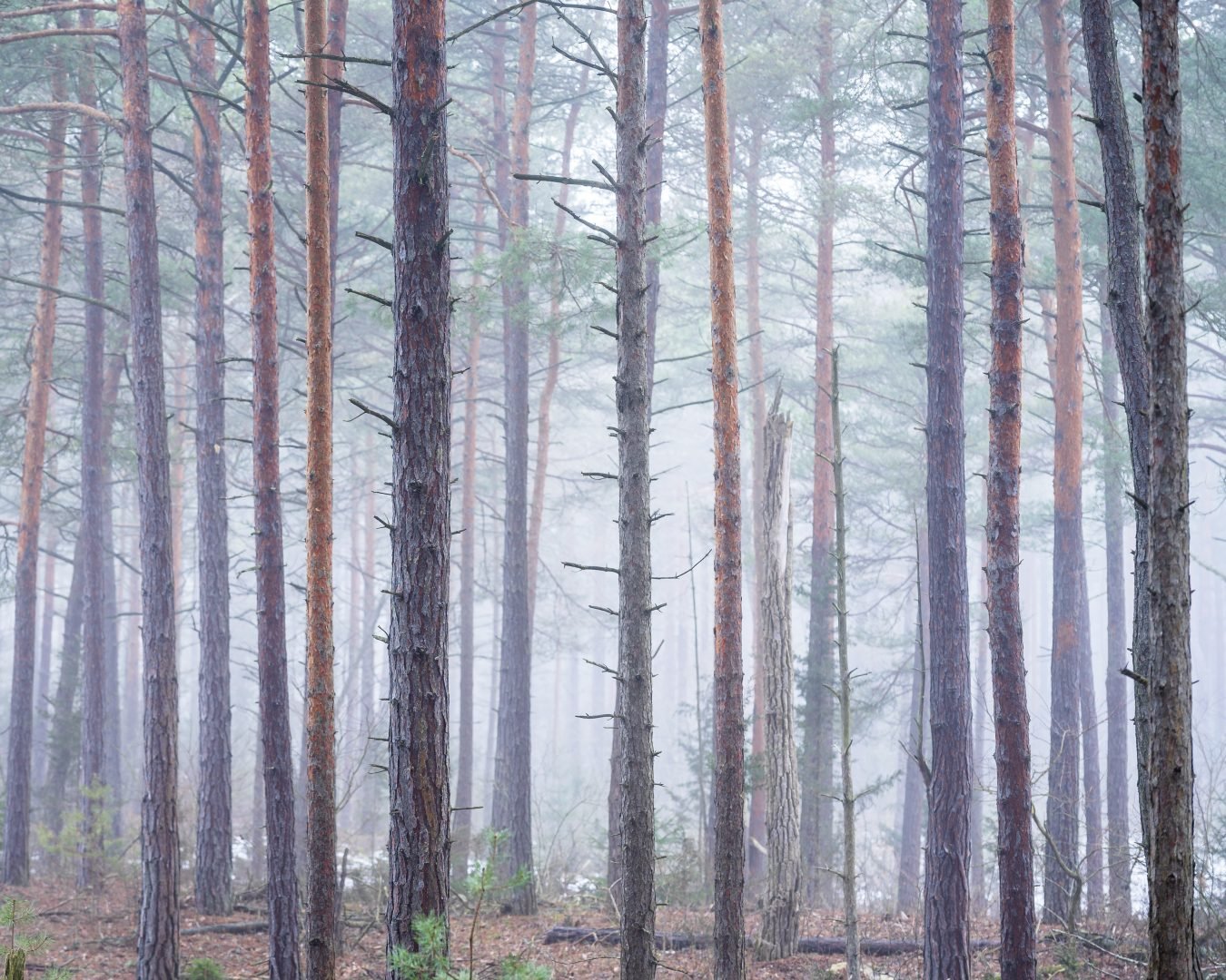 Ten fotograf tworzy oszałamiającą poezję wizualną w swoim lokalnym otoczeniu