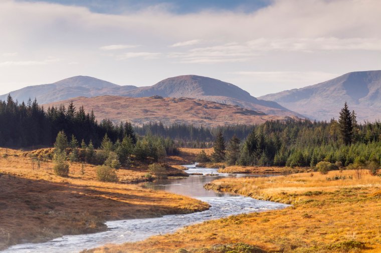 Carrick Lane w Galloway Forest Park.