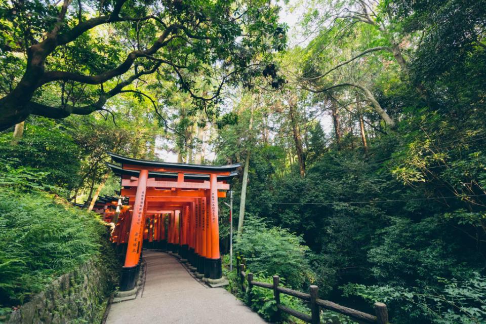 Ścieżka przez spokojny las z czerwonymi bramami torii prowadząca do sanktuarium w Japonii. Gęste drzewa otaczają, tworząc spokojną atmosferę. Brak ludzi