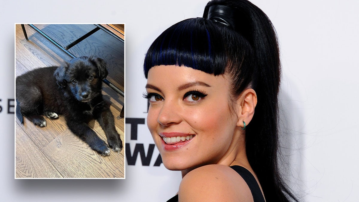 Lily Allen i szczeniak