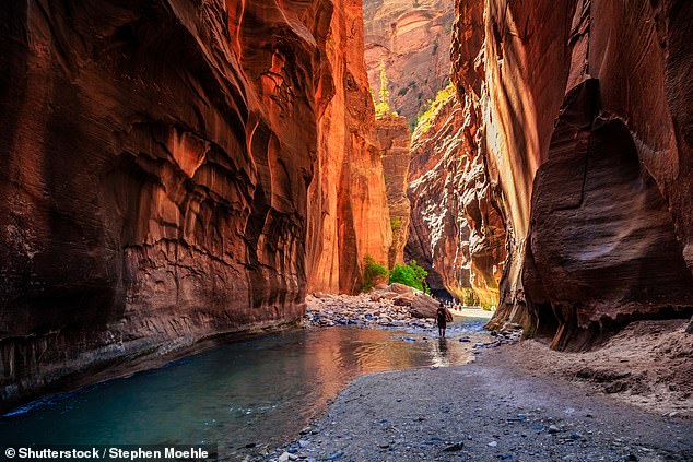 Miłośnikom przyrody Tom poleca odwiedzenie Parku Narodowego Zion i wędrówkę przez Narrows lub wspinaczkę na Angels Landing, aby podziwiać wspaniałe widoki