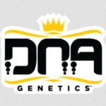 Genetyka DNA