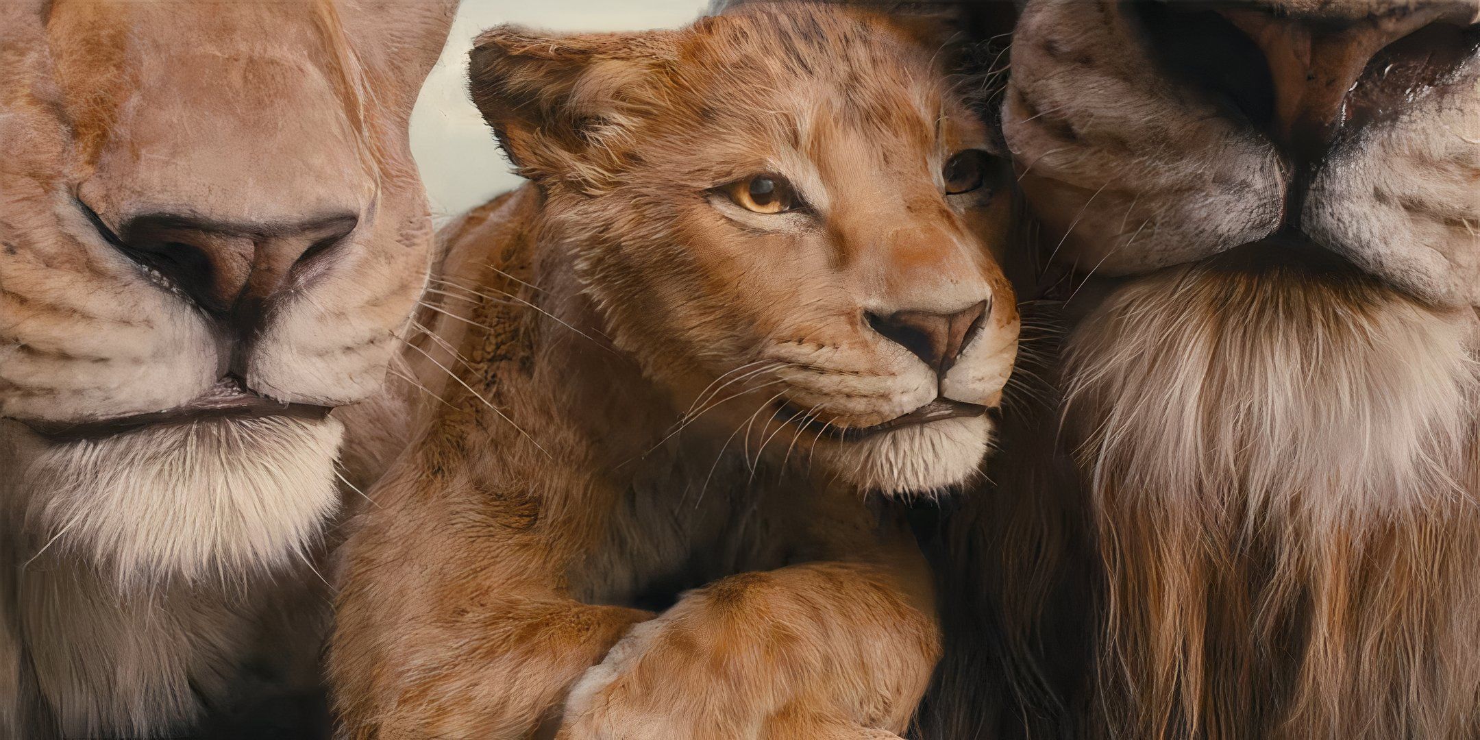 Młody Mufasa tulący się do starszych lwów w filmie Mufasa Król Lew