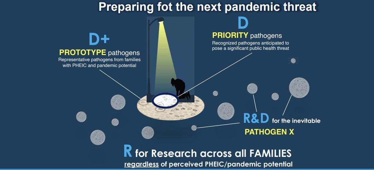 Wyobraź sobie naukowców i urzędników służby zdrowia jako osoby poszukujące „zagubionych kluczy” (następnego patogenu pandemicznego). Obszar oświetlony przez „latarnię” reprezentuje patogeny priorytetowe. Możemy nieco rozszerzyć oświetlony obszar, badając patogeny prototypowe i wykorzystując je jako odkrywców w rodzinach, aby poszerzyć naszą wiedzę i zrozumienie. Zaniedbywanie „ciemnych obszarów” nie jest wskazane, biorąc pod uwagę niepewność co do tego, który patogen rzeczywiście spowoduje następny PHEIC lub pandemię. 