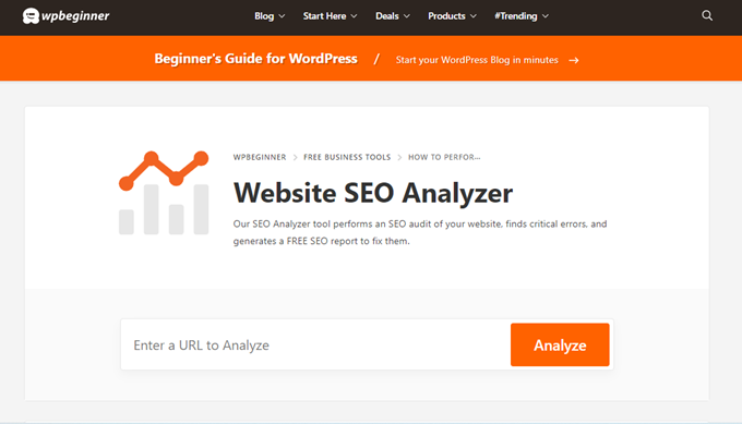 darmowy analizator seo