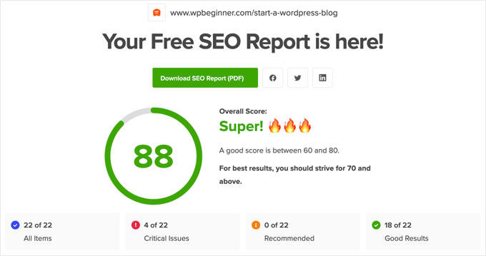 Przykład wyniku w narzędziu SEO Analyzer